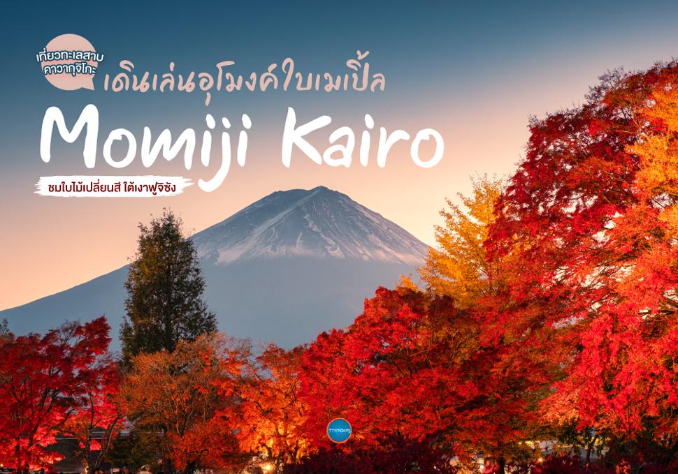อุโมงค์ใบเมเปิ้ล Momiji Kairo 