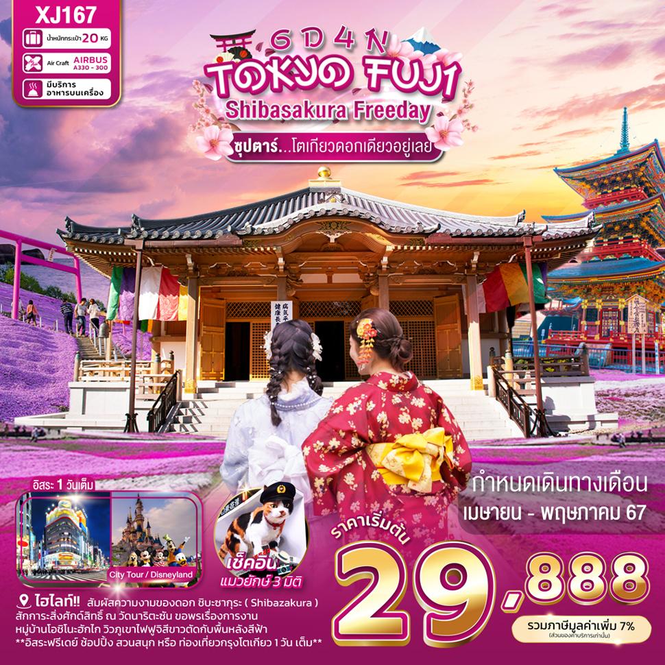 ttn banner