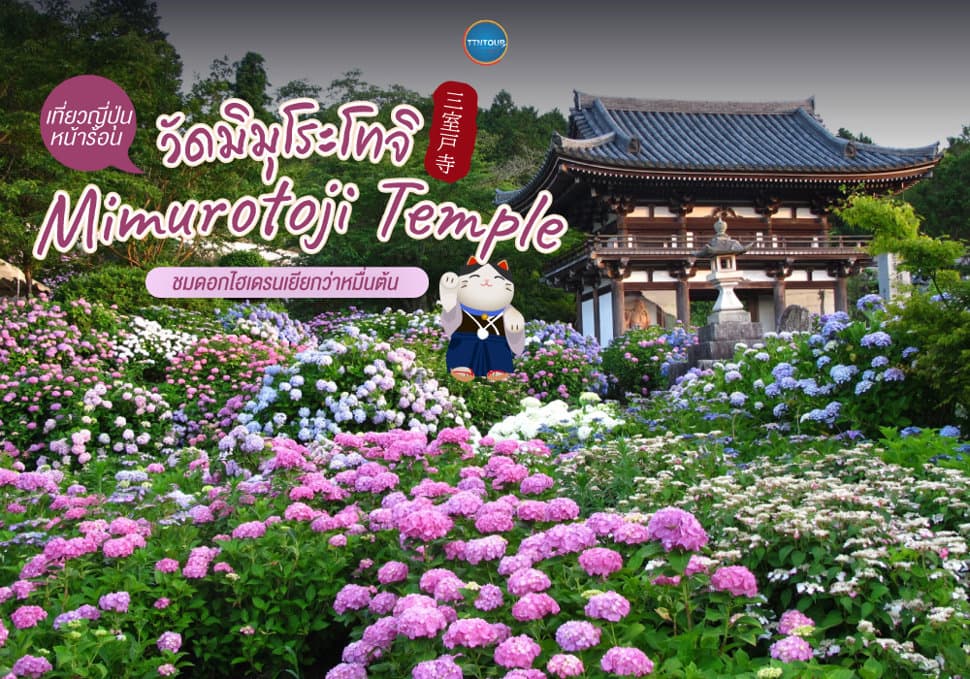 วัดมิมุโระโทจิ Mimurotoji Temple 