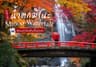น้ำตกมิโนะ Minoo Waterfall พิกัดชมใบไม้เปลี่ยนสีในโอซาก้า