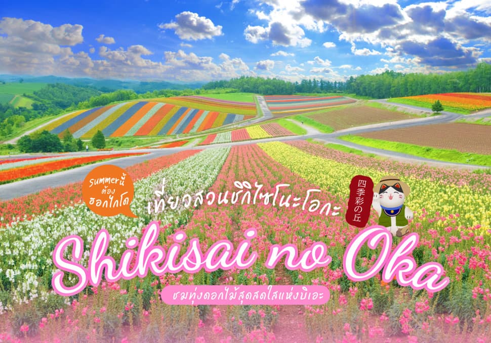 เที่ยวฮอกไกโดหน้าร้อน สวนชิกิไซโนะโอกะ Shikisai no Oka ชมทุ่งดอกไม้สุดสดใสแห่งบิเอะ