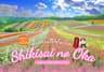 เที่ยวฮอกไกโดหน้าร้อน สวนชิกิไซโนะโอกะ Shikisai no Oka ชมทุ่งดอกไม้สุดสดใสแห่งบิเอะ