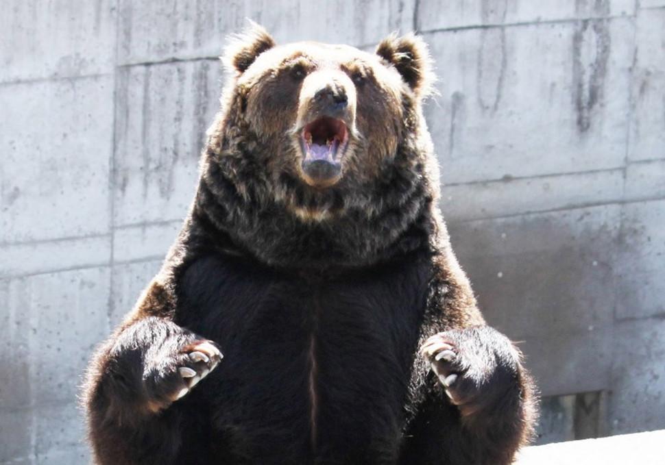 ©Hokkaido Tourism Organization