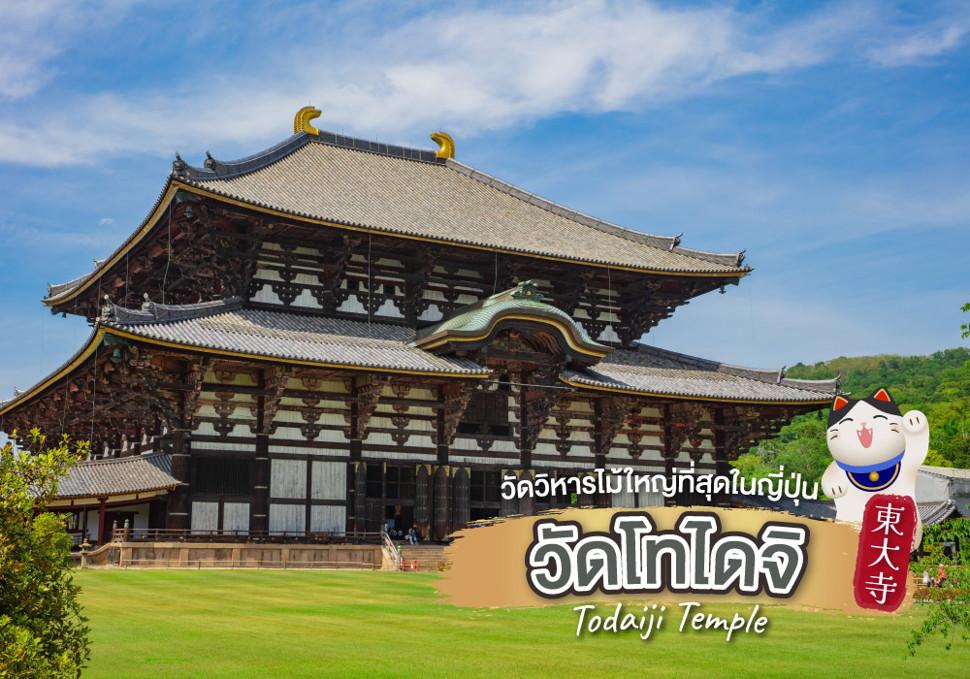 เที่ยววัดโทไดจิ Todaiji Temple วัดวิหารไม้ใหญ่ที่สุดในญี่ปุ่น  