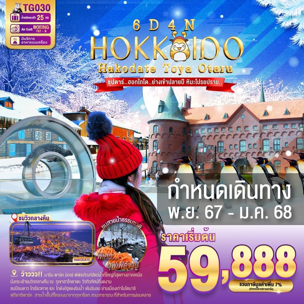 แบนเนอร์ทัวร์ HOKKAIDO HAKODATE TOYA OTARU 6DAYS 4NIGHTS BY TG -- NOV - DEC'24 -- ซุปตาร์.ฮอกไกโด..ย่างเข้าปลายปี หิมะโปรยปราย..